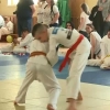 Judo z Cosinusem