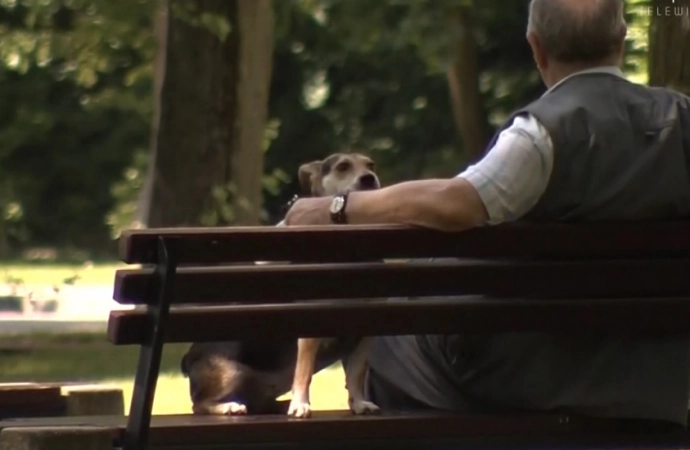 Pamiętajmy o seniorach!