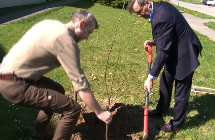 Wiosenne sadzenie w Gietrzwałdzie